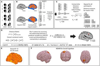 Cerebellar-Cortical Connectivity Is Linked to Social Cognition Trans-Diagnostically